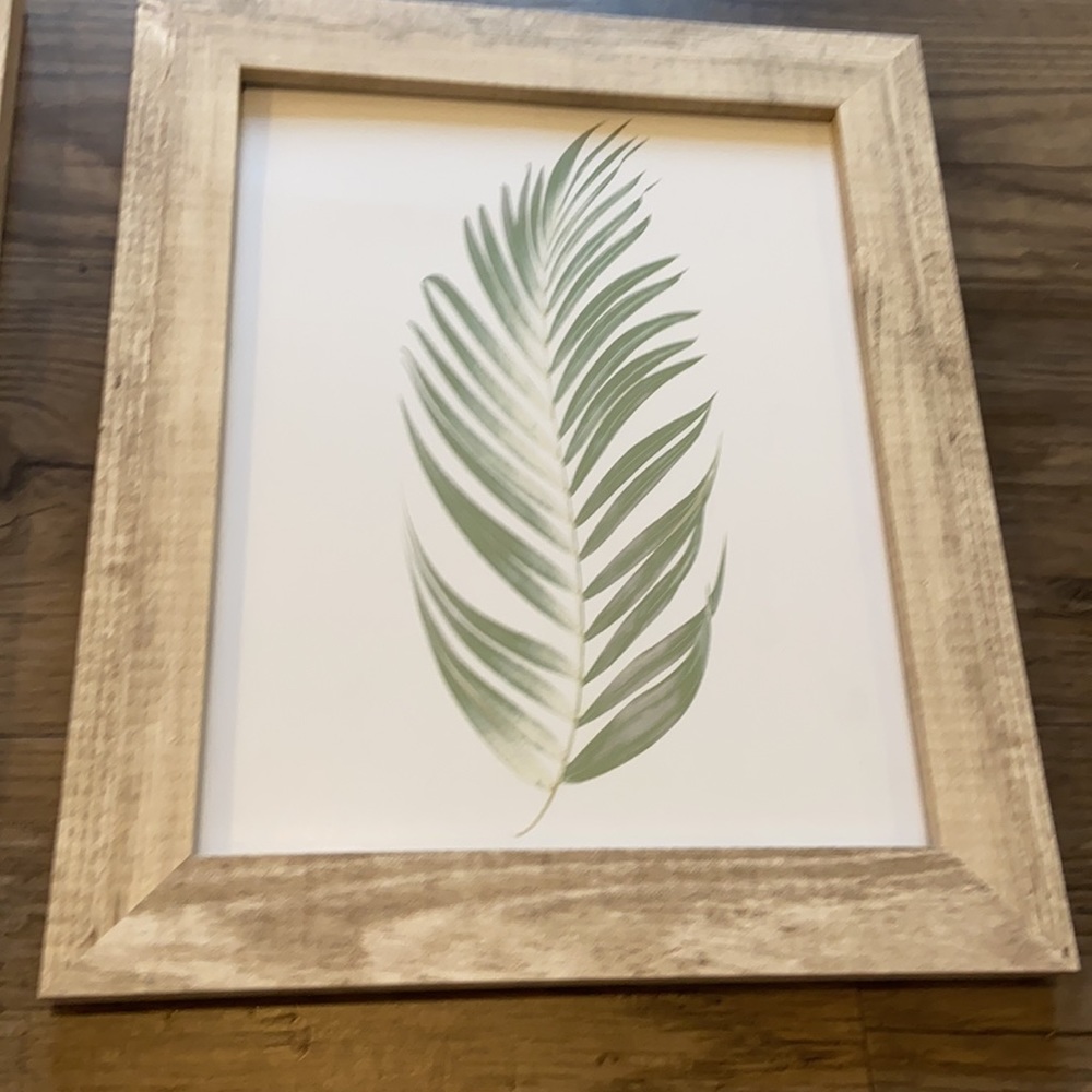 Leaf pictures in frames bundle - Picture 3 of 7